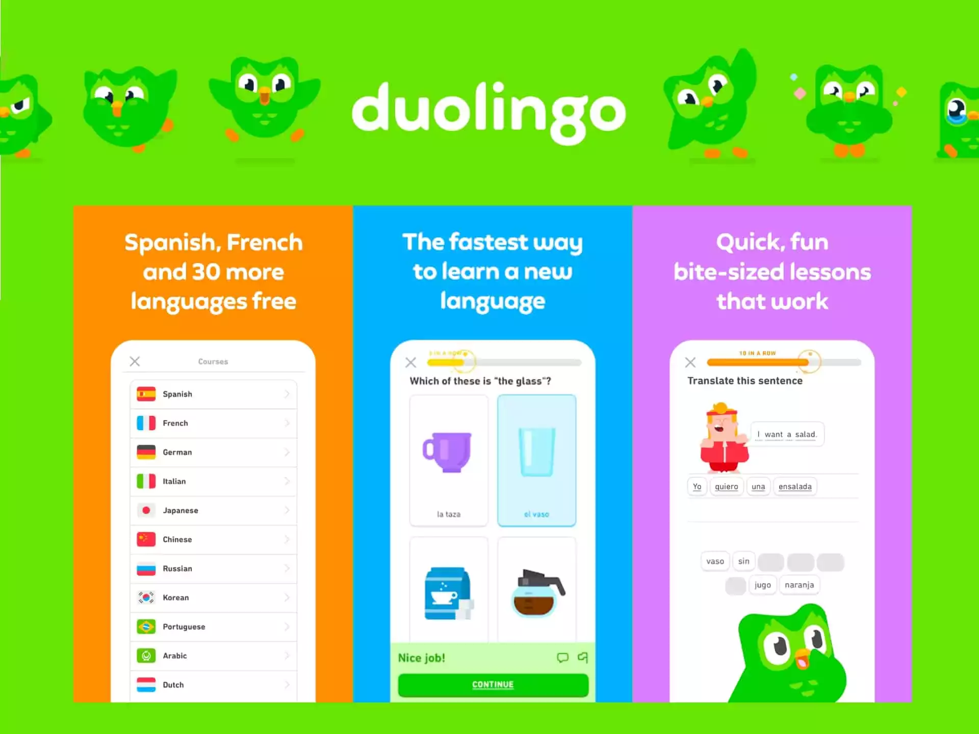 Duolingo